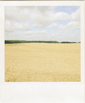 Land